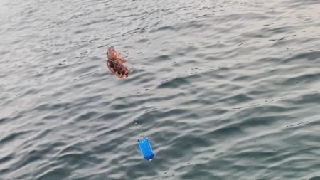 サビキ釣りでファミリーフィッシング